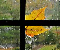 őszi eső